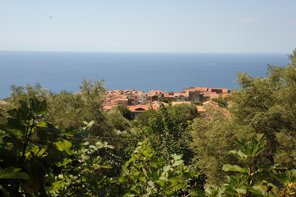 Agriturismo La Focazza Villa Ascea Exterior foto